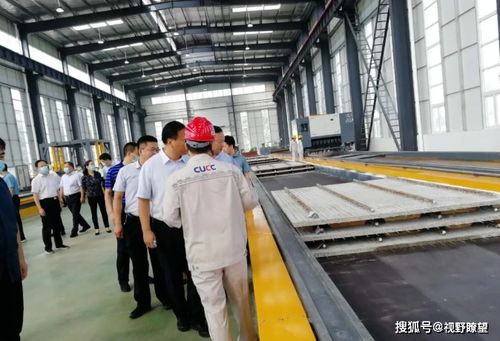 郟縣黃道鎮(zhèn) 建立主導產(chǎn)業(yè) 帶就業(yè)促發(fā)展