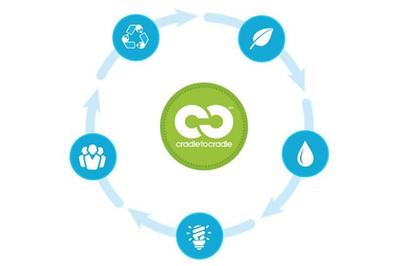 “從搖籃到搖籃”,常州智雄環保讓廢舊汽車重新煥發生機